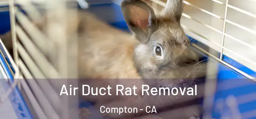  Air Duct Rat Removal Compton - CA
