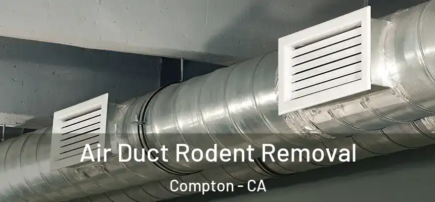 Air Duct Rodent Removal Compton - CA