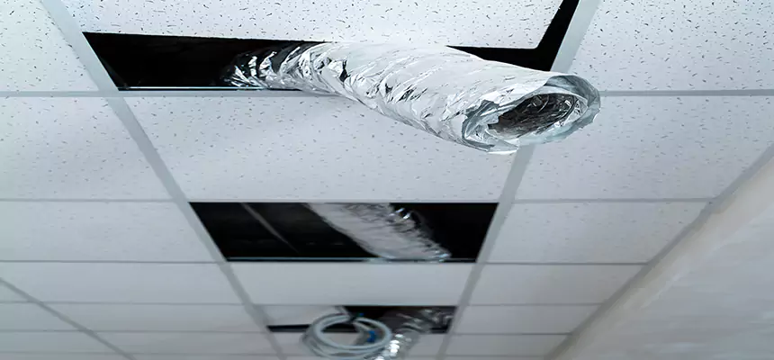 Affordable HVAC Sanitizing After Pest Removal in Compton