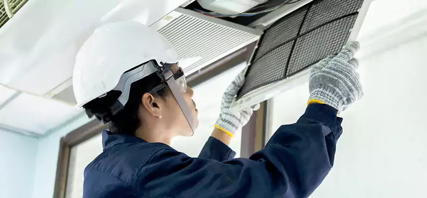 Our Mold & Mildew Removal from Air Ducts Services in Compton, CA