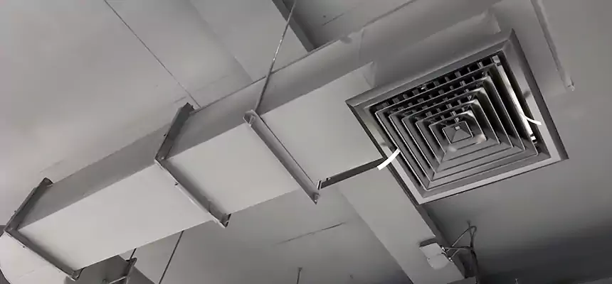 Our Pest Removal From Ducts Services in Compton, CA