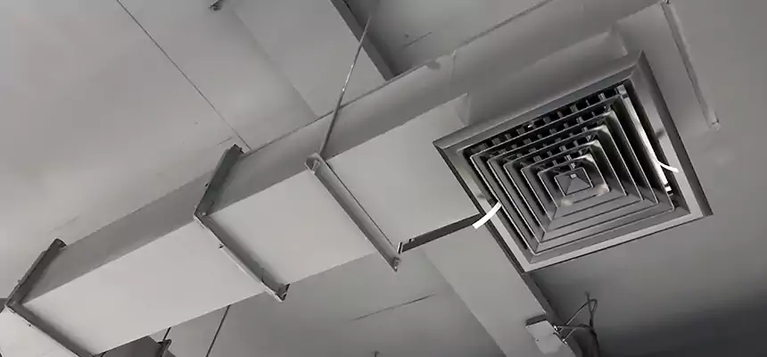 Our Rodent Droppings In Vents Services in Compton, CA