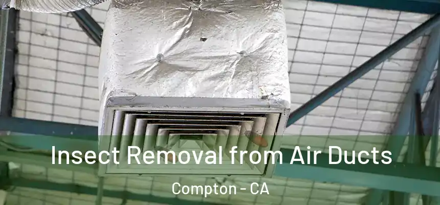  Insect Removal from Air Ducts Compton - CA