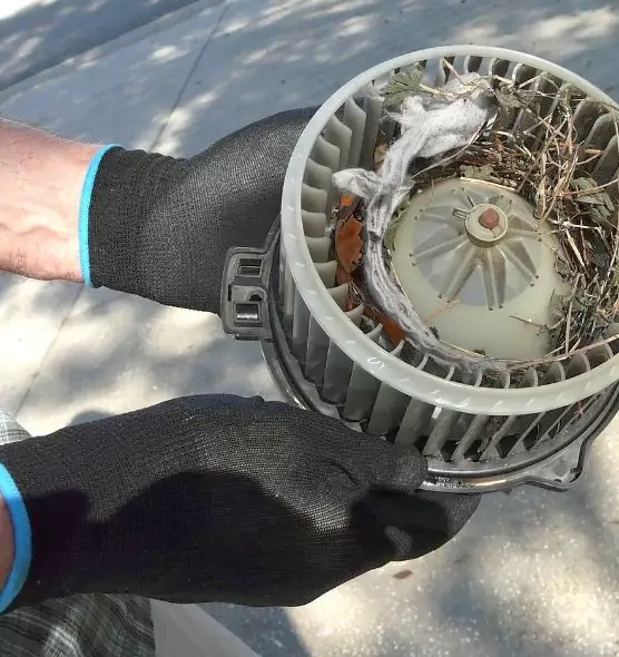 About Air Duct Rat Removal in Compton, CA