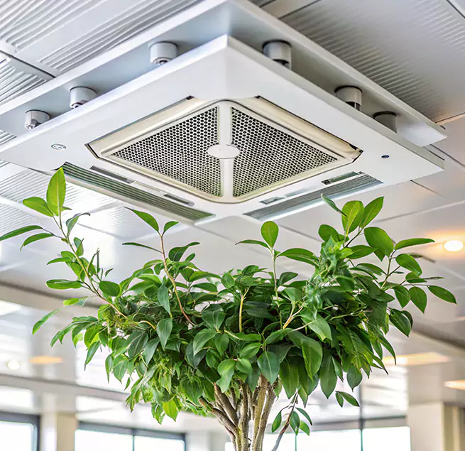 Why Homeowners & Businesses Trust Us in Compton, CA?